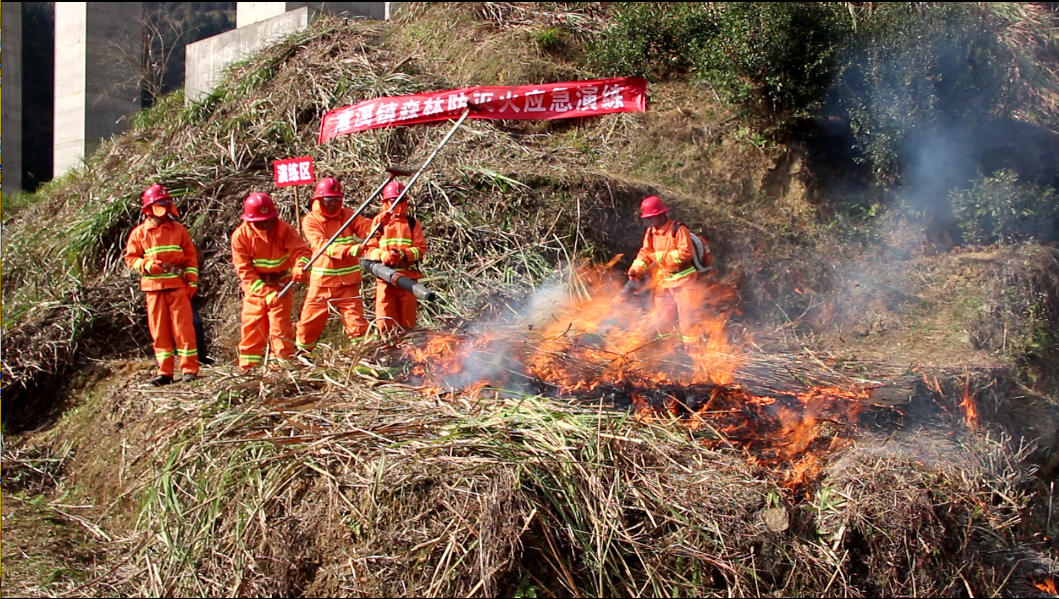 富溪镇：“三强化”密织森林防火安全网